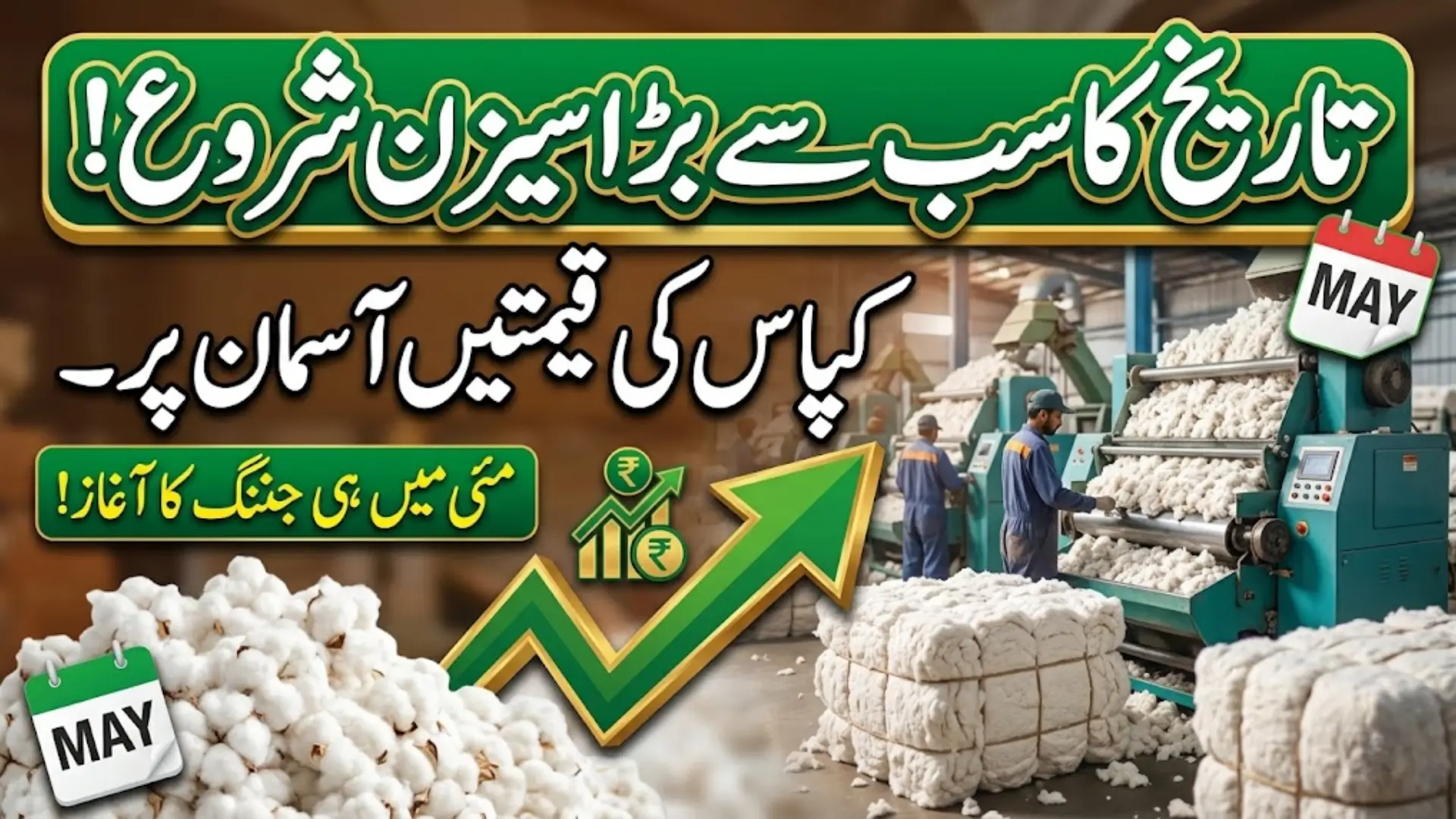 Pakistan Cotton Ginning Season Starts Early